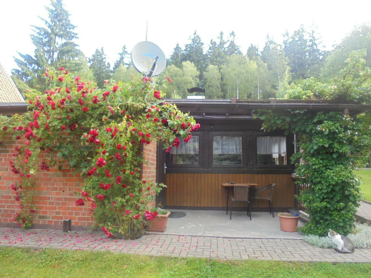 Bergfreiheit Villa Schierke Exterior photo